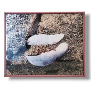 Envisioned by SB - Signed Seashell Beach Photo in 1980s Frame